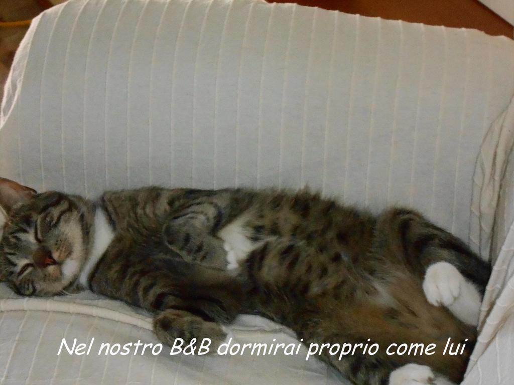 I Tetti Di Sassari B&B Екстериор снимка